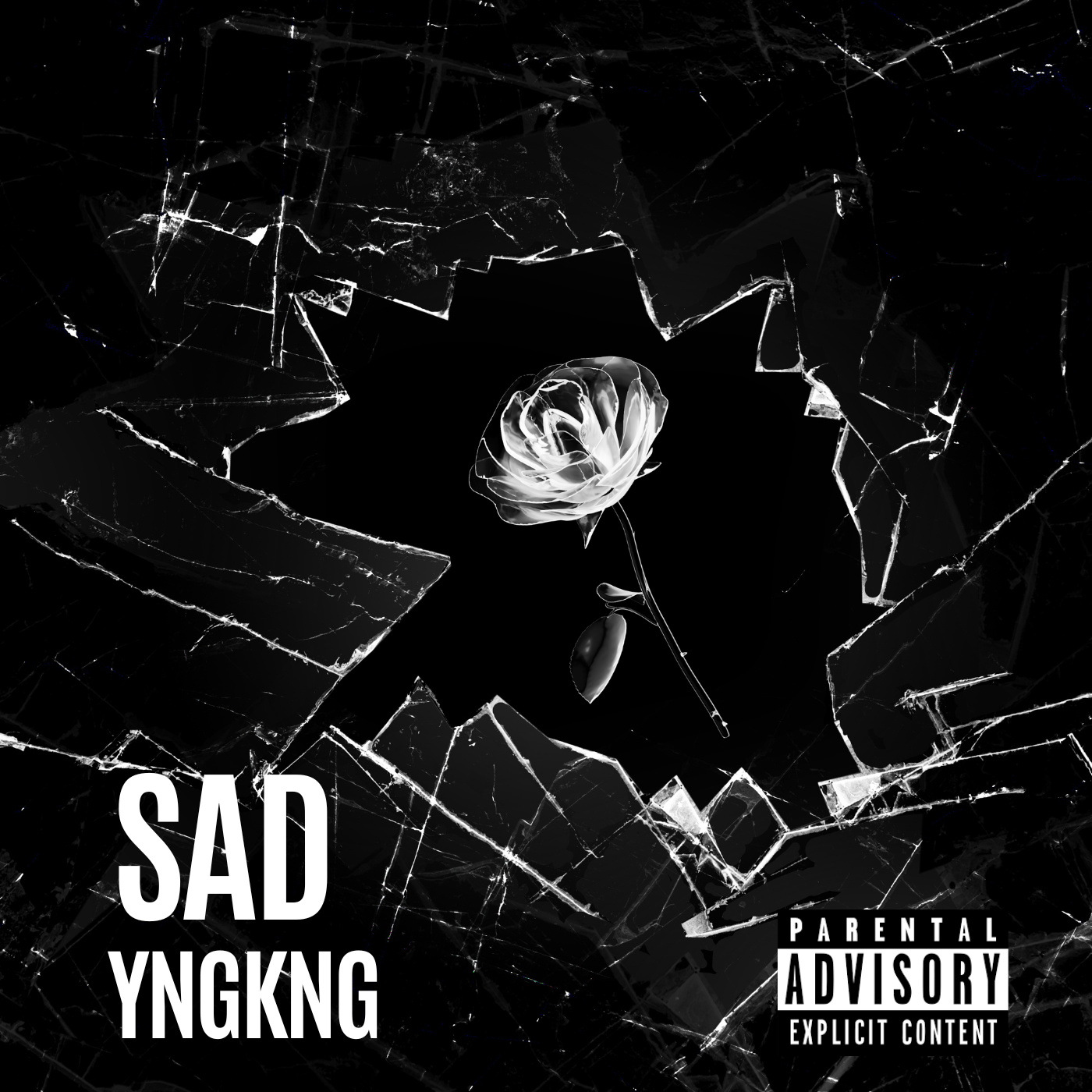 Black White Bold Photocentric Album Cover_20250202_113653_0000.png